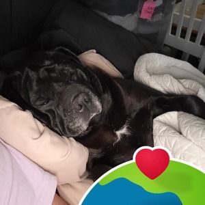 Meet your Posher, Nora